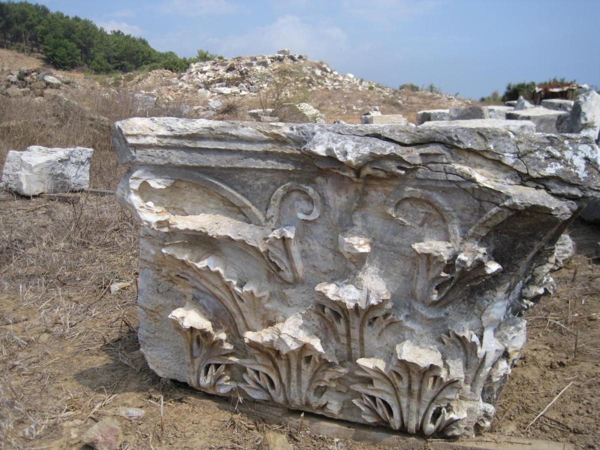 Zeytinada Pansiyon Ve Goezleme Guneykoy ภายนอก รูปภาพ