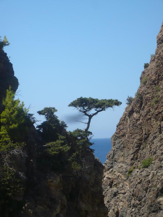 Zeytinada Pansiyon Ve Goezleme Guneykoy ภายนอก รูปภาพ