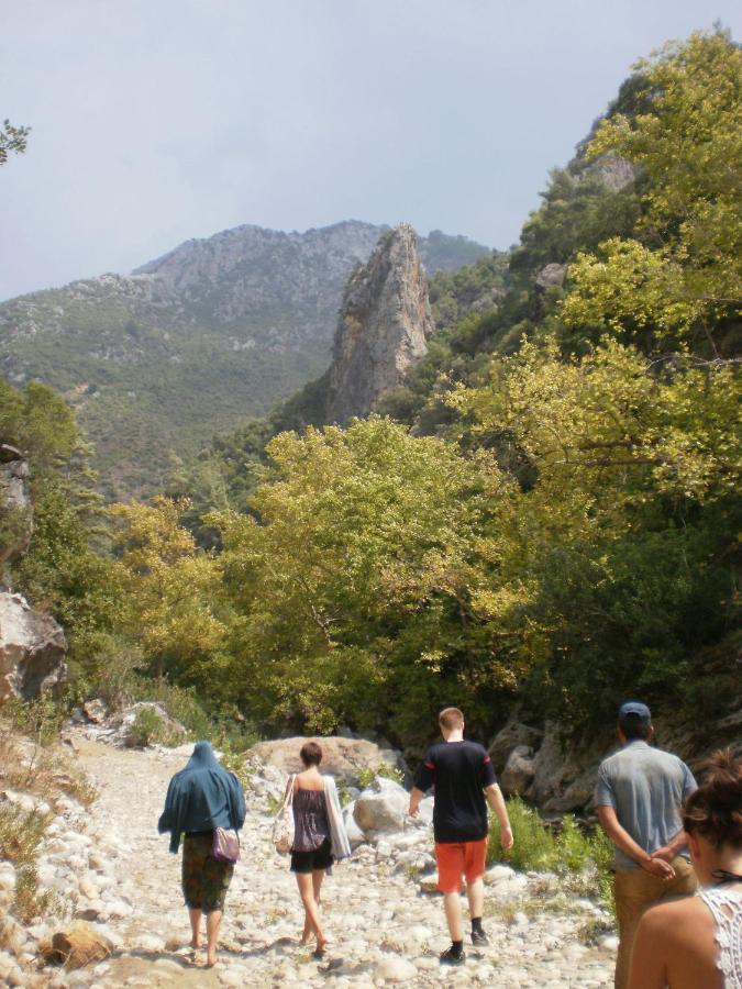 Zeytinada Pansiyon Ve Goezleme Guneykoy ภายนอก รูปภาพ